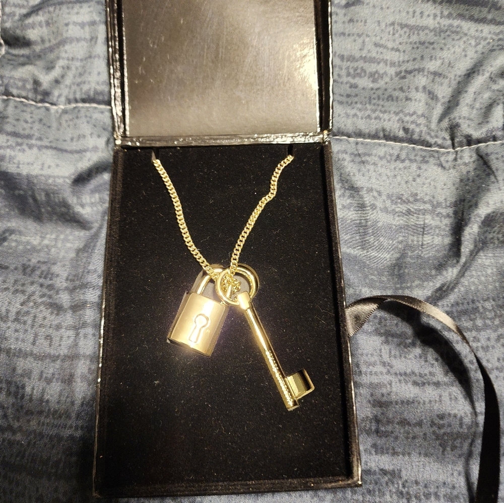 Victoria's secrets standless necklace